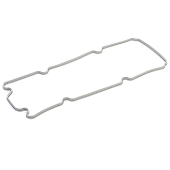 واشر درب سوپاپ تیبا عظام